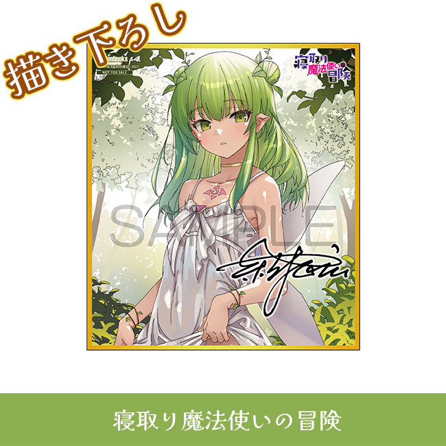 寝取り魔法使いの冒険