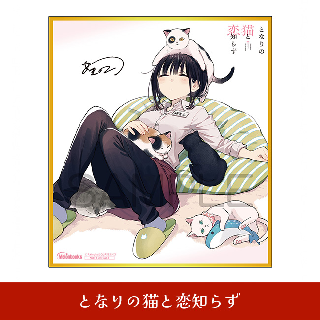 となりの猫と恋知らず
