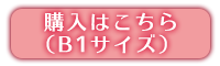 J[g͂(B1TCY)