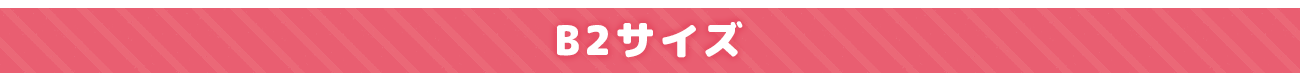 B2Wスエードタペストリー