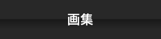 ナビ_画集
