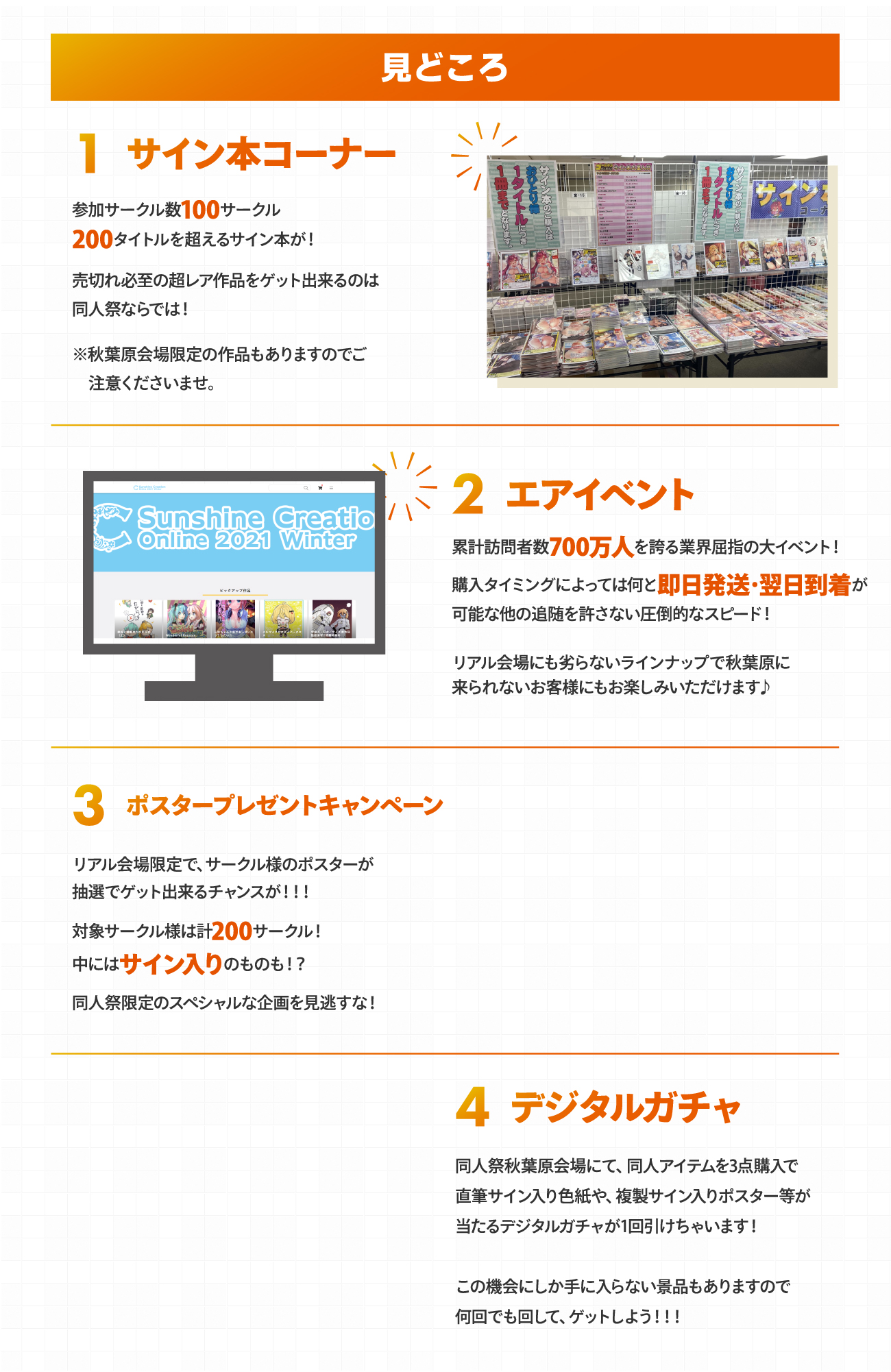 見どころ
