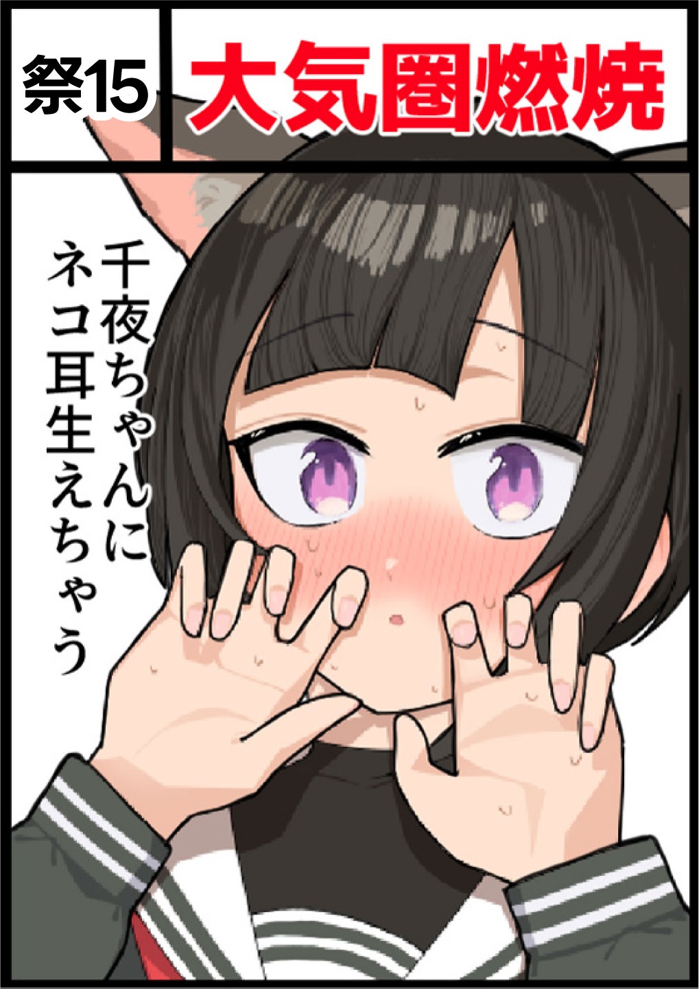 大気圏燃焼