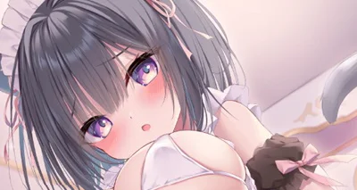 しばいぬにき