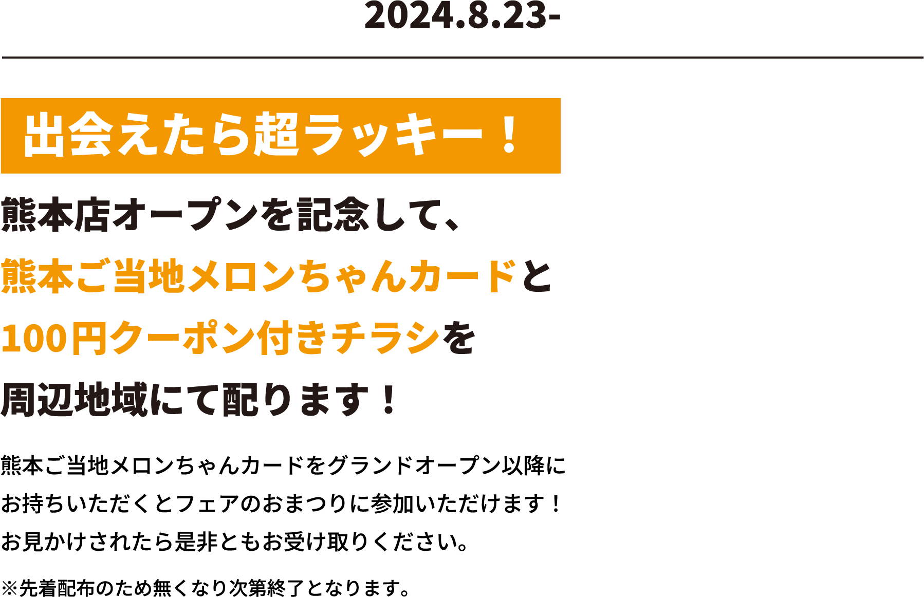 ご当地メロンちゃんカードと100円クーポン付きチラシ