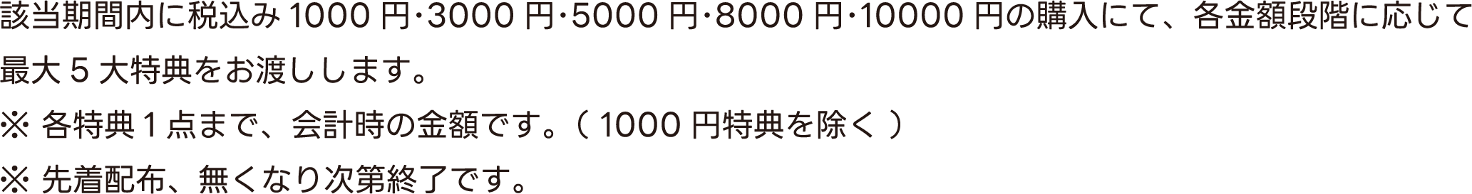 該当期間内に税込み1000円･3000円･5000円･8000円･10000円の購入にて、各金額段階に応じて最大5大特典をお渡しします。